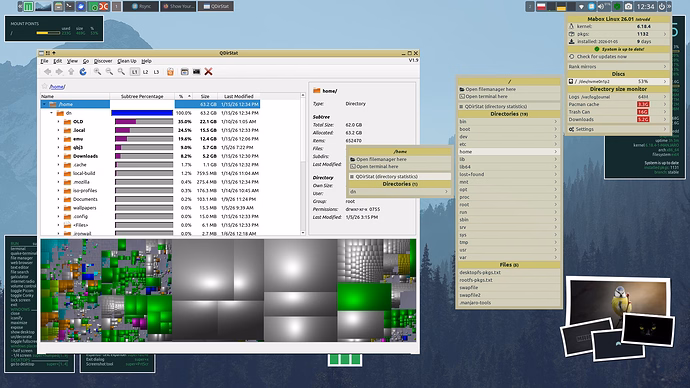 Qdirstat showing home directory