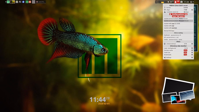 Mabox_20260201-11-44-20