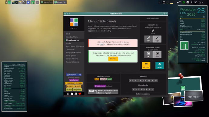 Colorizer GUI window