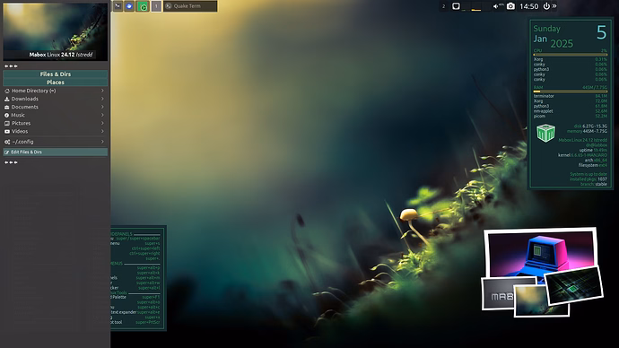 custom_sidepanel_after2