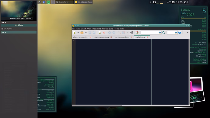 custom_sidepanel_after4
