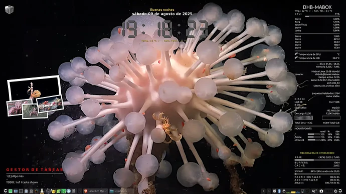 Mabox_20250809-19-18-19