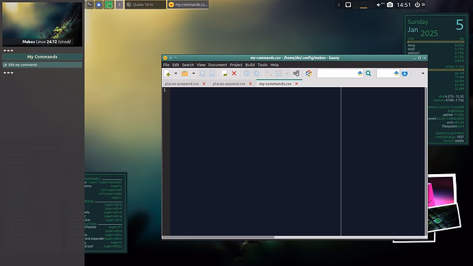 custom_sidepanel_after3
